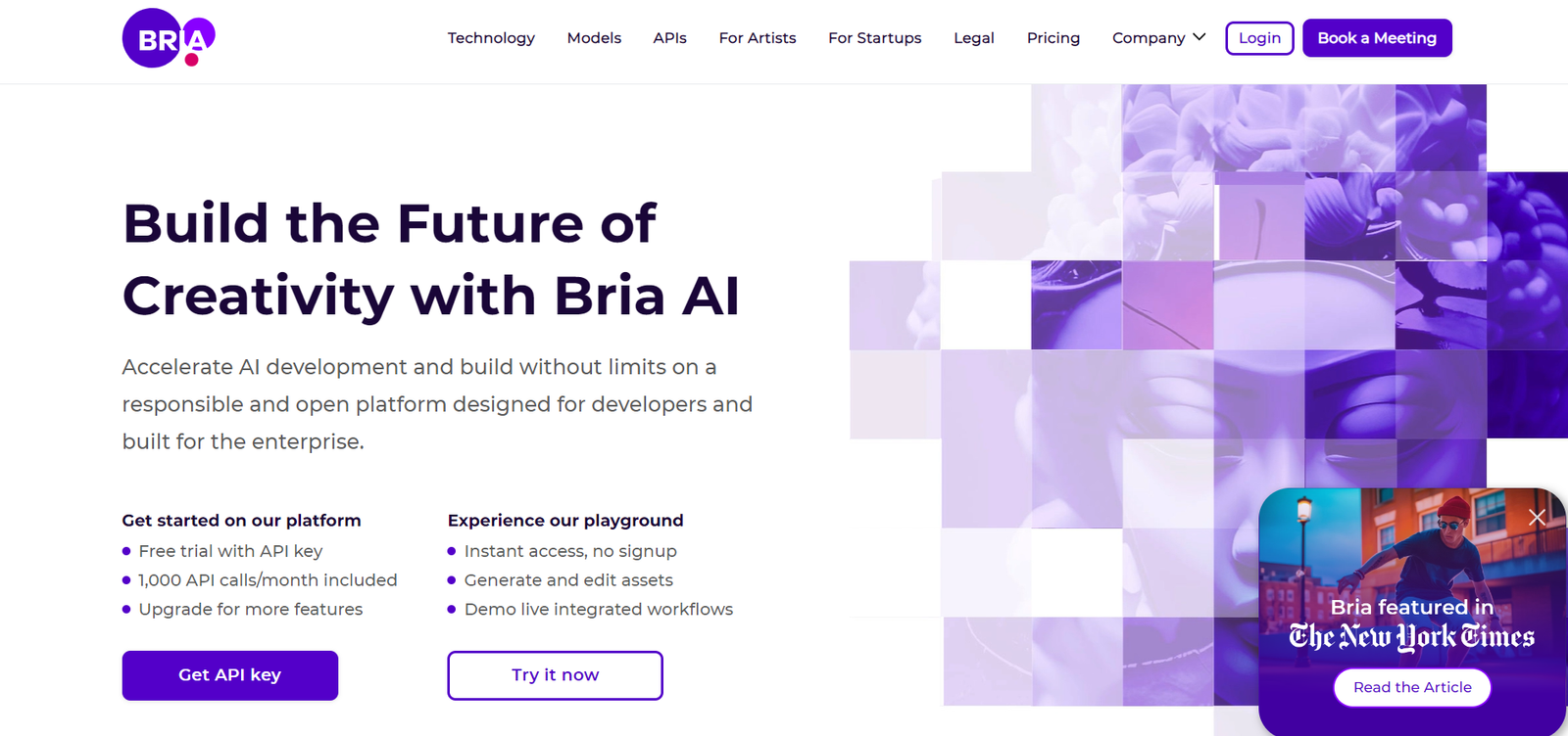 Bria AI